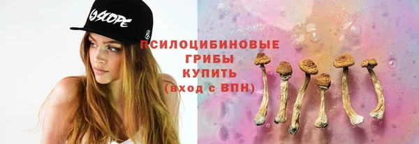 трава Мегион