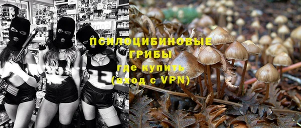 трава Мегион
